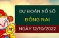 Dự đoán xổ số Đồng Nai ngày 12/10/2022 thứ 4 hôm nay