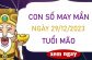 Con số may mắn tuổi Mão 29/12/2023 – Hôm nay đánh con gì?